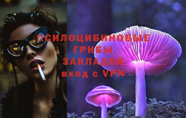 мескалин Алексин