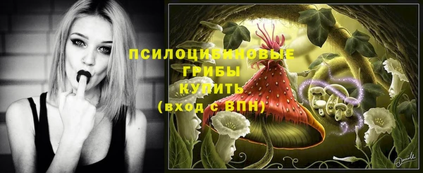 PSILOCYBIN Абаза